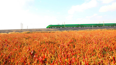 Kapsantinin yüzde 12’sini üreten bölge: Karaşar