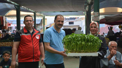 Manisa'daki çitçilere ücretsiz dağıtıldı!