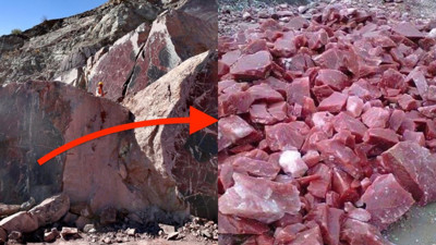 Kuşbaşı ete benzemesiyle dikkat çekiyor! Elazığ'dan çıkarılıp yurt dışına gönderiliyor