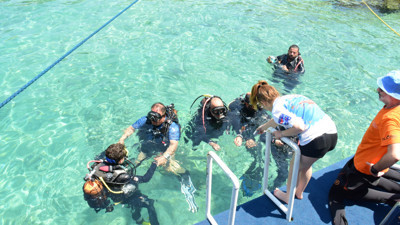 Türkiye'nin ve dünyanın gözde turizm kenti! Muğla'nın Bodrum ilçesine ziyaretçi akını