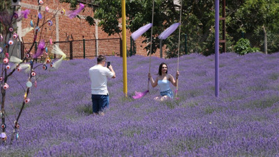 Tekirdağ'ın lavanta bahçeleri göz kamaştırıyor!