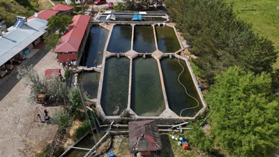 Sivas'ta üretiliyor! Birçok Avrupa ülkesine ihraç ediliyor!