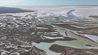 Tuz Gölü'nde korkutan görüntü! Yüzlercesi ölü olarak bulundu