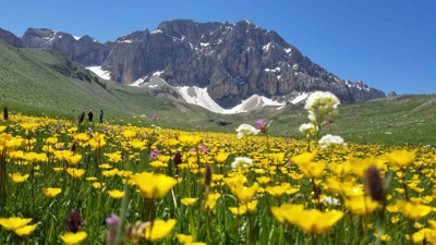 Erzincan ve Tunceli arasında yer alıyor! İşte terörden arındırılan bu güzellik