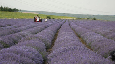 İstanbul'a 1.5 saat mesafede: Ziyaretçi akınına uğruyor