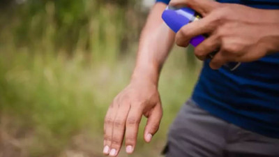 Sinek ısırıklarına elveda! Kaşıntıyı anında kesecek, kızarıklığı geçirecek 7 şaşırtıcı doğal çözüm ve hızlı ipuçları