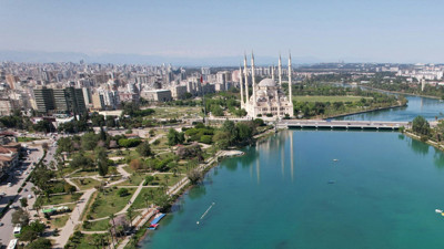 Adana'da 25 bin dönüm alana ekildi! 150 bin ton rekolte bekleniyor
