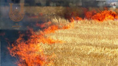 Şanlıurfa’da anız yakan 169 kişiye para cezası