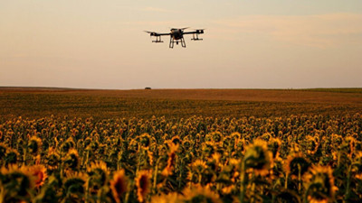 Tekirdağ istila altında! Yetkililer kırmızı alarm verdi