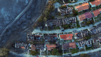 Toplumda orman bilinci sıfırdan kurulmalı