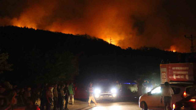 Hatay Dörtyol'da orman yangını! 1100 personel seferber oldu