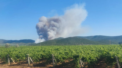 Manisa'nın Saruhanlı ilçesinde orman yangını