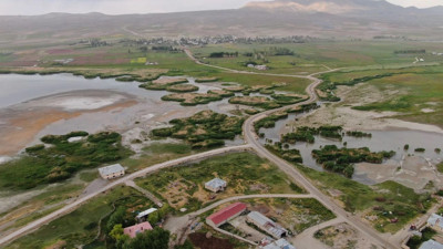 Vanlıları üzen haber geldi! Uzmanlar uyardı