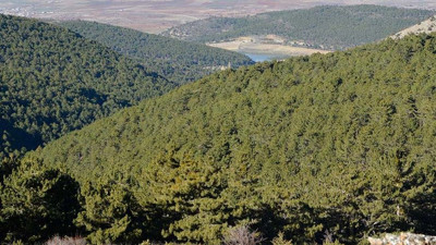 Konya'da yasaklandı! Valilik duyurdu