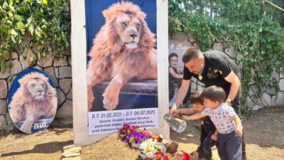 Antalya'da öldürülen aslan 'Zeus' için temsili mezar yapıldı