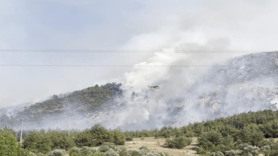 Bilecik’te orman yangını çıktı!