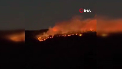 Çankırı'da orman yangını! Ekiplerin müdahalesi sürüyor