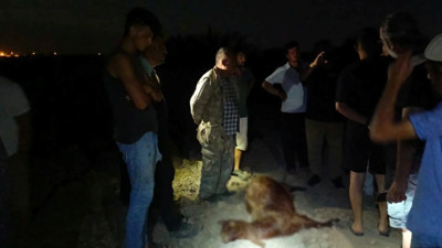 Hatay'da korkunç olay! Dereden su içtikten kısa süre sonra öldüler