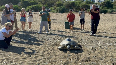 Antalya'da sahilde hareketsiz bulundu! Tedavi altına alındı