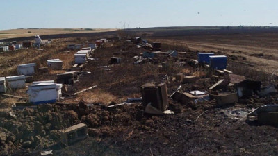 Tekirdağ Hayrabolu'da 400 arı kovanı yok oldu!