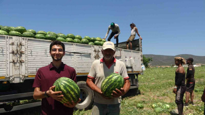 Bilecik’in Osmaneli ilçesinde üretiliyor! Tarlada 1 liraya satılıyor