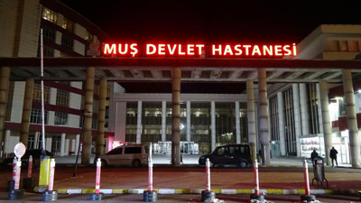 Bir ilde daha kene kabusu!