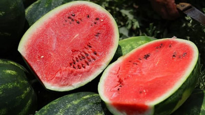 Türkiye’nin en iyi karpuzu Adana’da mı Diyarbakır’da mı
