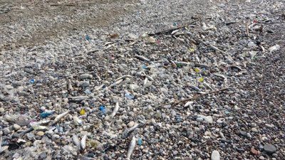 Mersin sahillerinde korkutan görüntü!