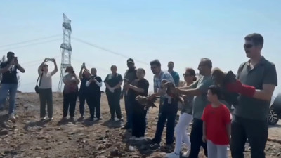 Hatay'da tedavisi tamamlanan 11 yabani kuş doğaya bırakıldı