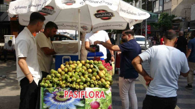 Mersin’de doğada kendiliğinden yetişiyor! Tanesi 10 liraya satılıyor
