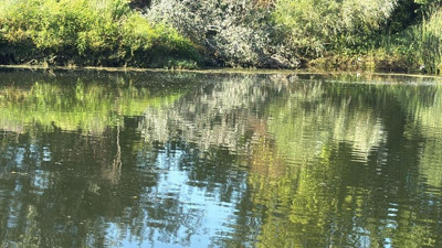 Sakarya Nehri'ne giren iki çocuk suda kayboldu