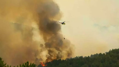 Uşak'ta orman yangını! Müdahale başladı