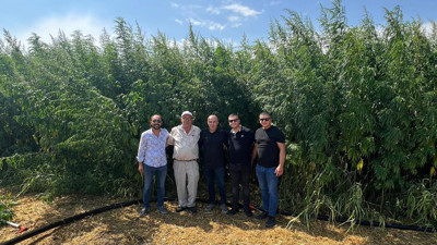 Kenevir ekiminde uyuşturucu uyarısı!