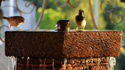 Erzurum için kavurucu sıcaklık uyarısı! Tarih verildi