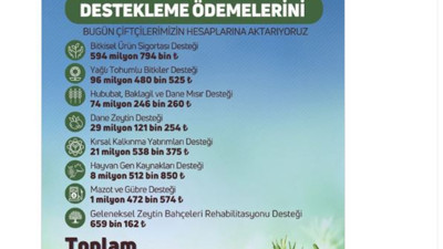 Ödemeler bugün hesaplara aktarılıyor