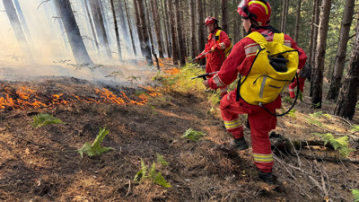 Orman yangınları nedeniyle 3 köy tahliye edilecek