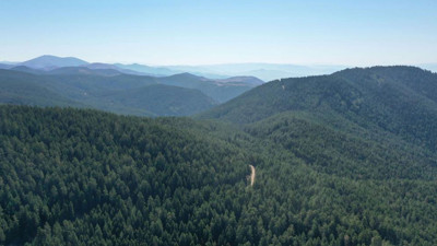 Valilik duyurdu! Sivas’ta ormanlara giriş yasaklandı