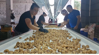 33 günde 90 bin TL kazandırıyor! İzmir'de işçilere rekor maaş