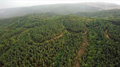 Hatay'da yasaklandı! 30 Temmuz'a kadar sürecek