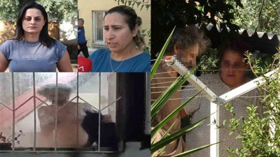 Antalya'da akıl almaz olay! 17 kedi öldü, yeniden hayvan toplamaya başladılar