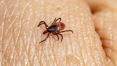 Sivas’ta kene kabusu sürüyor! Ölü sayısı 12'ye yükseldi