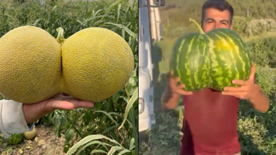 Bilecik’te görenleri hayrete düşürdü