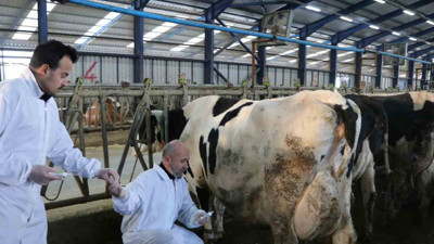 ‘Serbest veterinerler de acilen köylere gönderilsin’