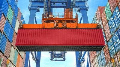 Düzce'de üretildi: 850 ton ürün yurt dışına gönderildi