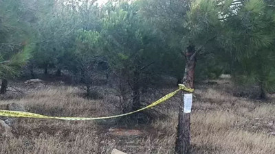 Gaziantep'te, ormanlara girişler yasaklandı