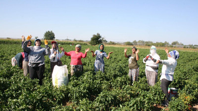 Edirne'de oyun havaları eşliğinde yapılıyor