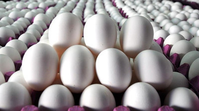 Yumurta fiyatları düştü!