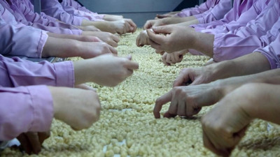 Düzce'de üretiliyor: Avrupa'ya ihraç ediliyor