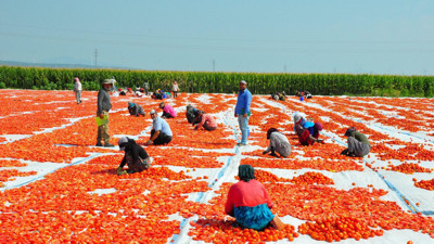 Manisa'da üretiliyor! 34 ülkeye gönderiliyor