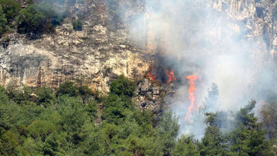 Karabük'te orman yangını! Valisi Yavuz'dan açıklama geldi